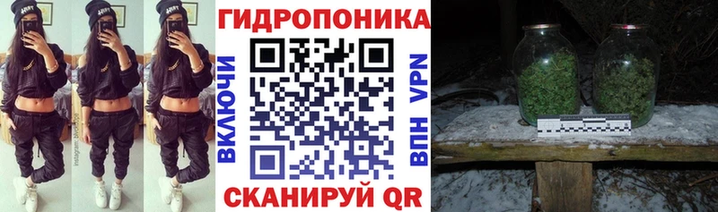 Цена Сланцы Конопля  Кокаин  Мефедрон 