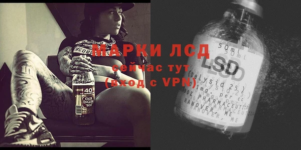spice Белокуриха