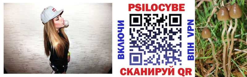 Псилоцибиновые грибы Cubensis  MEGA tor  Сланцы 